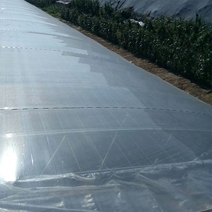 China produce safe and reliable paddy greenhouse films