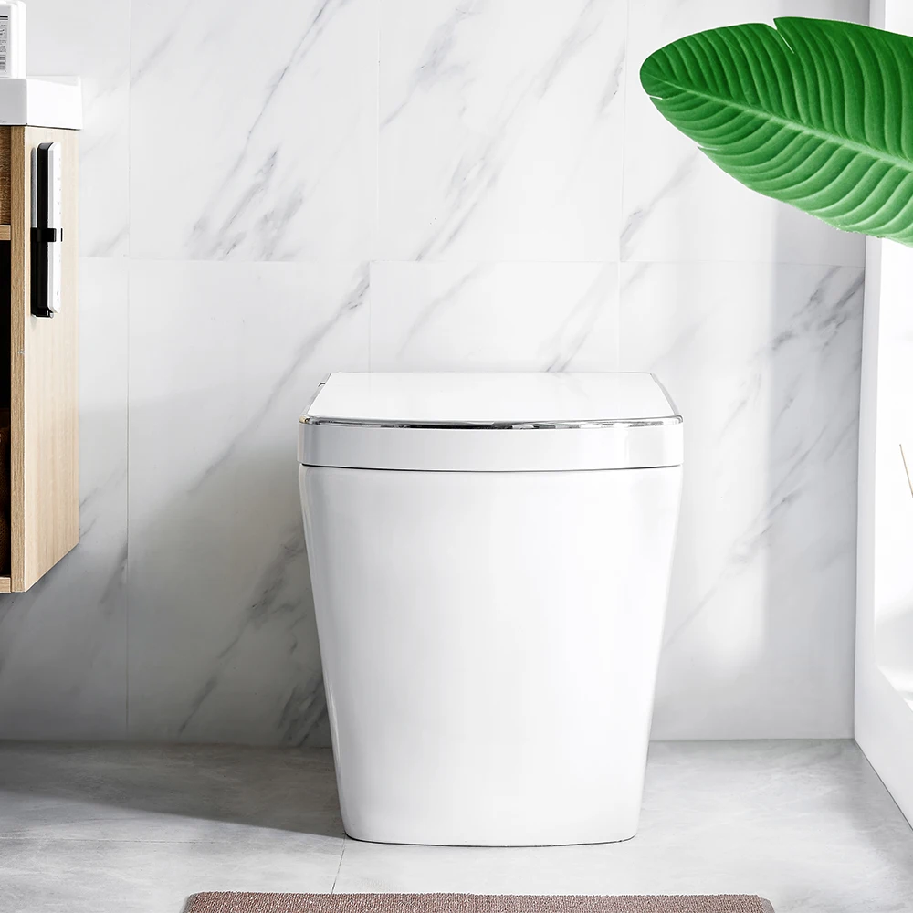 Contemporary design bathroom toilet bidet water