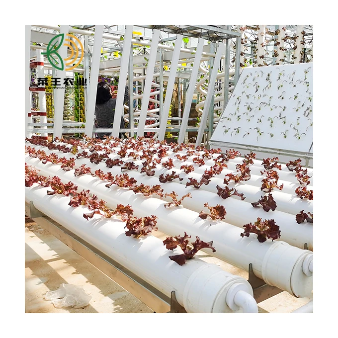 New designed hydroponic trough plastic nft hydroponic growing systems & vertical farming trays growing system