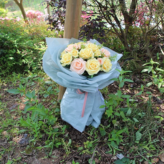 
Solid color 50*75cm Wood pulp Sydney paper floral decorative bouquet wrapping paper for packing fresh flower 