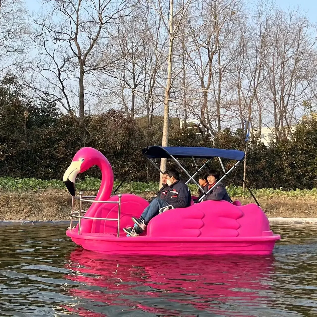 New Coming 2 seats 4 seats used duck swan pedal boat