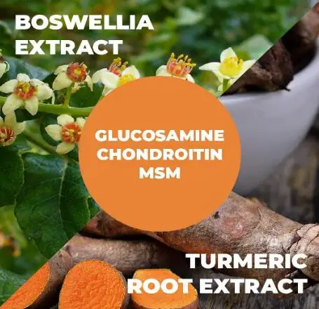 OEM Glucosamine/Chondroitin Effervescent Tablets for Bone