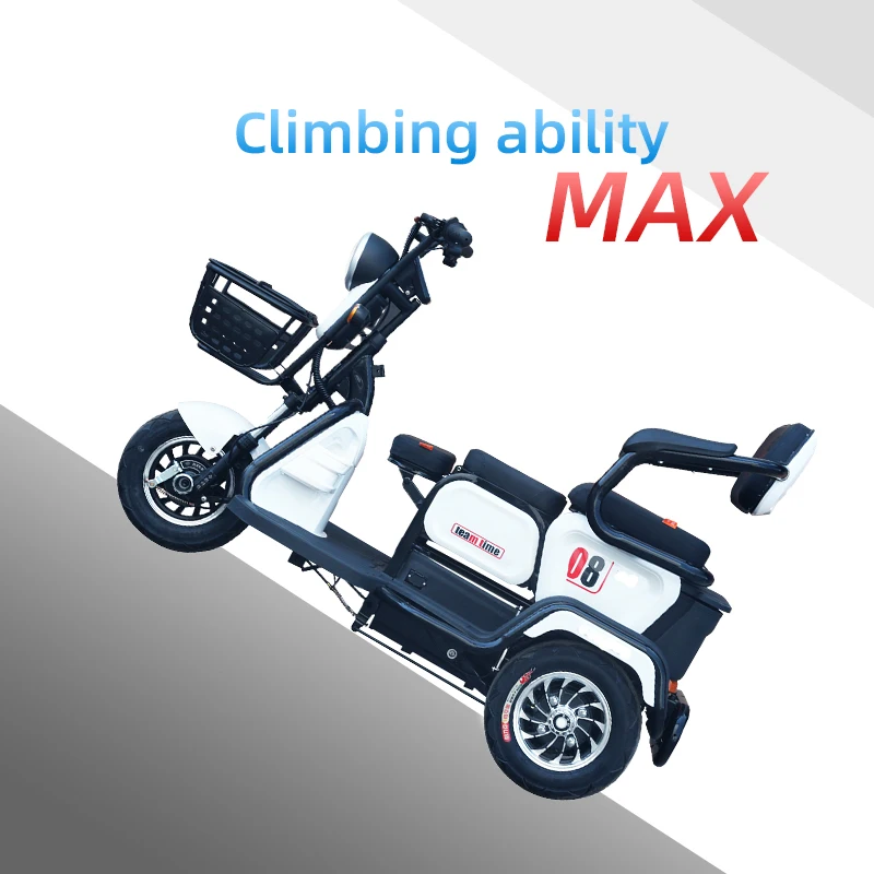 2022 Factory Direct Sales Payload Capacity 300-400Kg Electric Tricycle Price Cheap With Lcd Appearance Electric Bicycle Tricycle