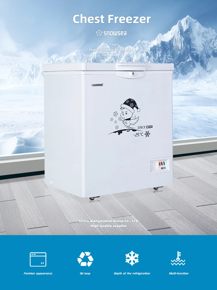 BD-150 Deep Freeze Display Vertical Commercial Refrigerator Freezer