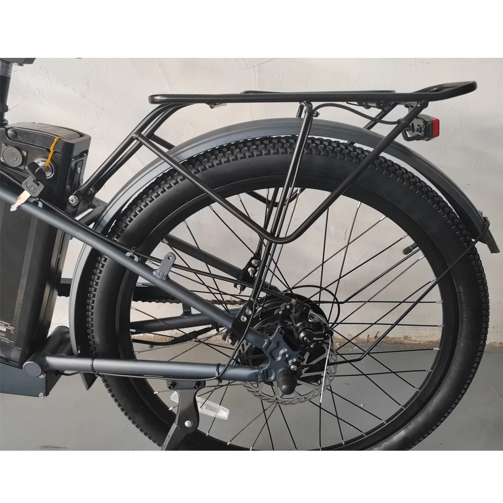 Factory directly selling city Electric Bicycle (FP-EB24002)