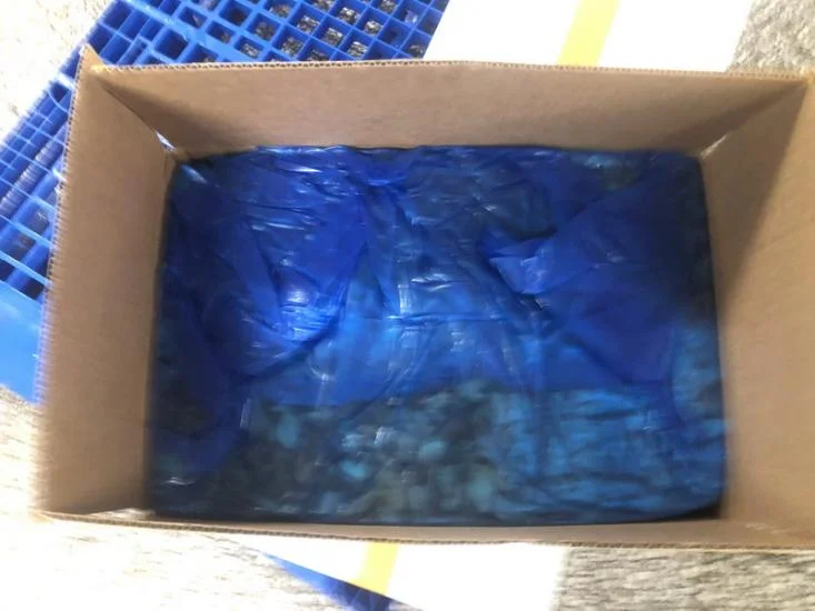 Hot Sale  mytilus edulis meat mussel meat  without shell