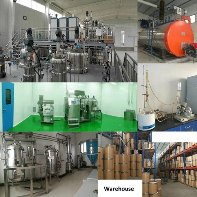 
Gold Standard Whey Protein Concentrate Powder Whey Protein 