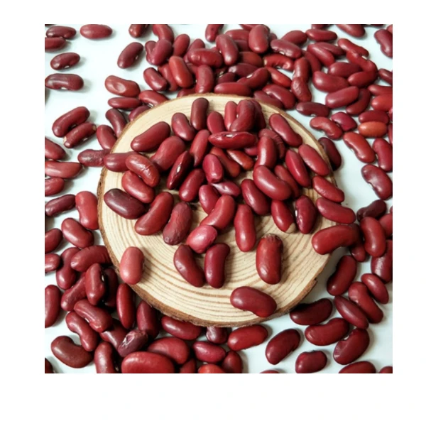 Direct Exporter Natural Organic Dried Raw Green and Red Mung Vigna Beans Bulk Order for Sale