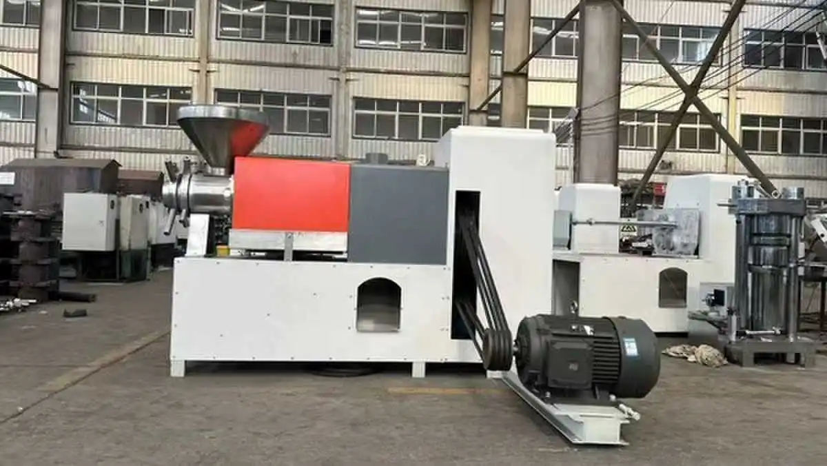 Automatic Mini Cocoa Bean Butter Grease Oil Press Machine Factory Price for Olive Soybean Sesame Oil with Engine Core Component