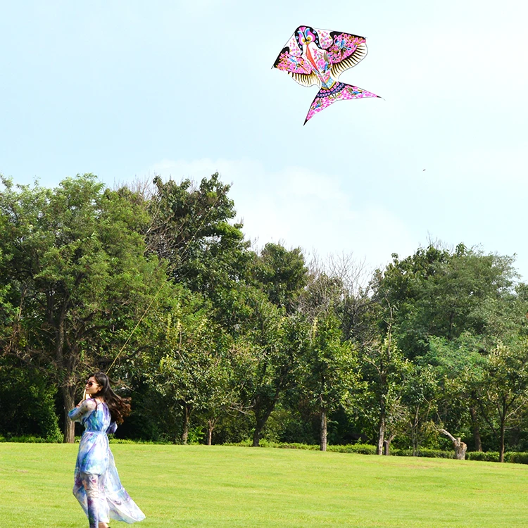 wholesale outdoor sport import flying big triangle swallow bird kite