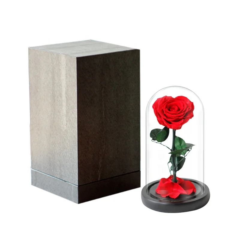 Мягкая мечта 2023 ручной работы розы вечный цветок сохраненный цветок в стеклянном куполе