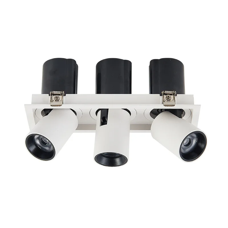 stretch adjustable led recessed spotlight 6W 2x6W 3x6W 4x6W 12W 2x12w 3x12w 25w 2x25w 3x25w pull out cob adjustable down light