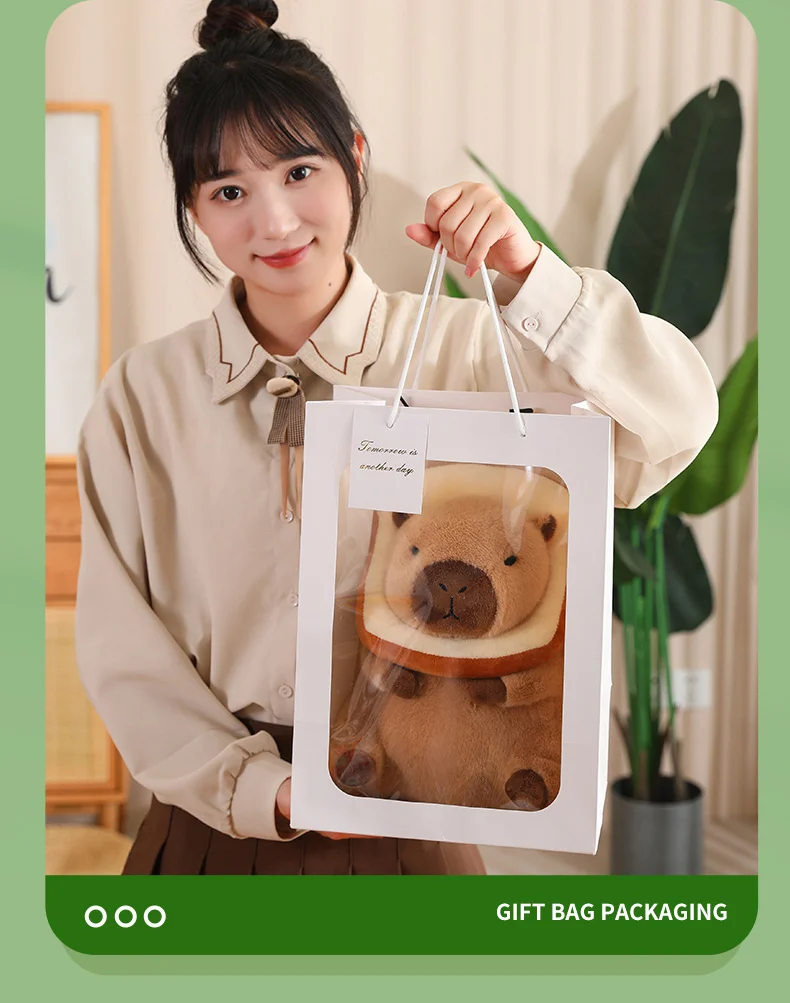 Cartoon Anime Multi Colors cute Capybara Plush Toy with flower toast Stuffed Animal Toys Birthday Doll Gift for Boys and Girls