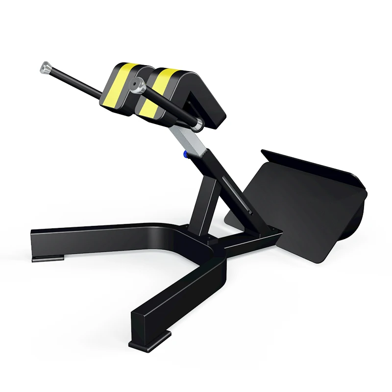 Manufacturers Provide Gym Sports Equipment 45 Degree Lower Back Extension Bench/Roman Chair