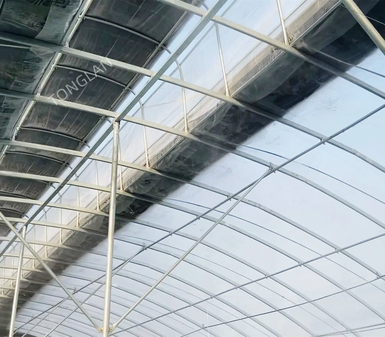 Chinese Manufacturer Irrigation and Hydroponic Equipment Agricultural Oval Tube New Multi-span Greenhouse Used Sale