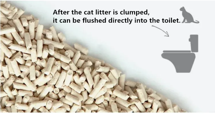 catlitter use