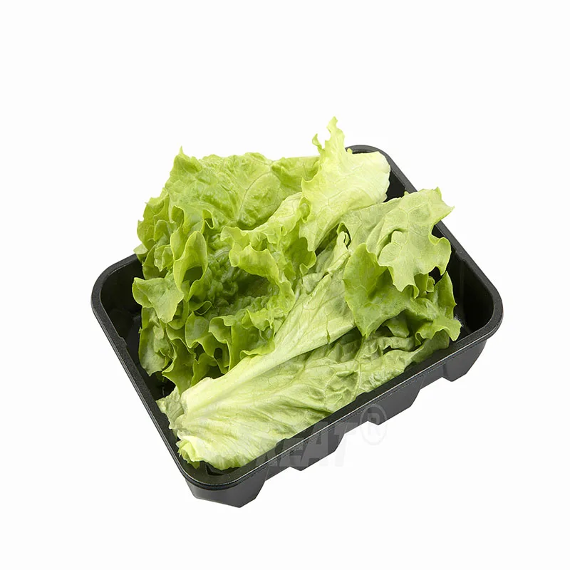 Disposable Fruit Vegetable Tray Transparent PET Plastic Punnets Disposable Plastic Container for Fruit & Vegetables use