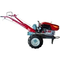 Small Paddy 2 Wheel Power Tiller Hand Walking Farm Tractor
