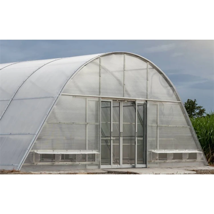 Сельскохозяйственная Коммерческая пластиковая полиэтиленовая теплица