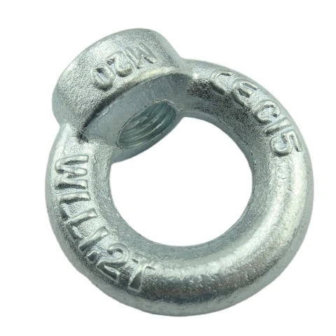 C15 Carbon Steel Forged Galvanized M16 Din 582 Ring Nut