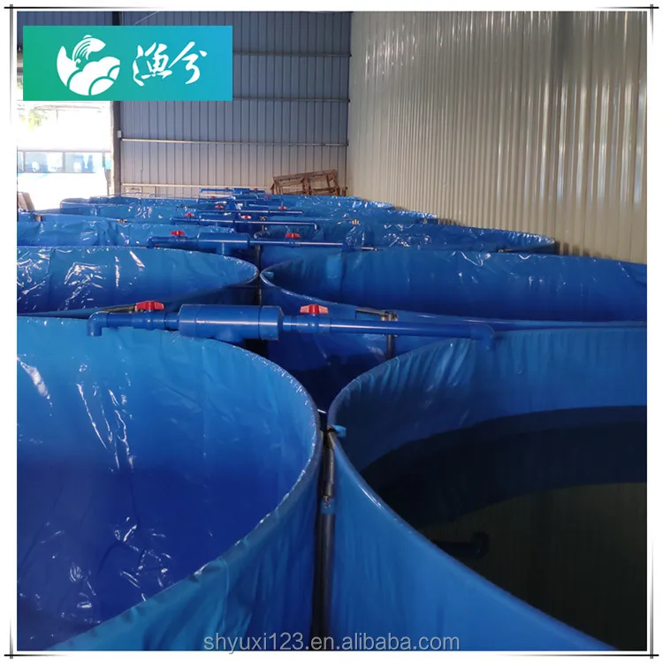 
Indoor portable canvas fish pond circulating water high density shrimp farming equipment 