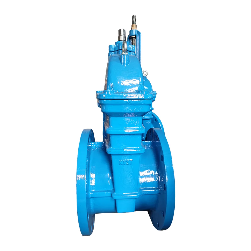 DIN3352 F4 F5 4 inch Ductile cast iron NRS NBR resilient seated GGG50 gate valve BS5163