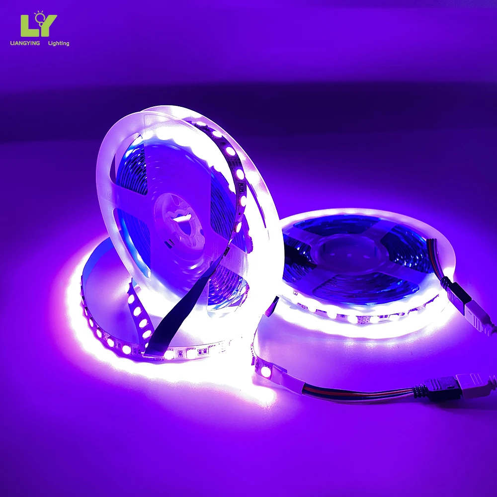 Outdoor Set Waterproof 2835 5050 Led Strip Light For Living Room For Car
