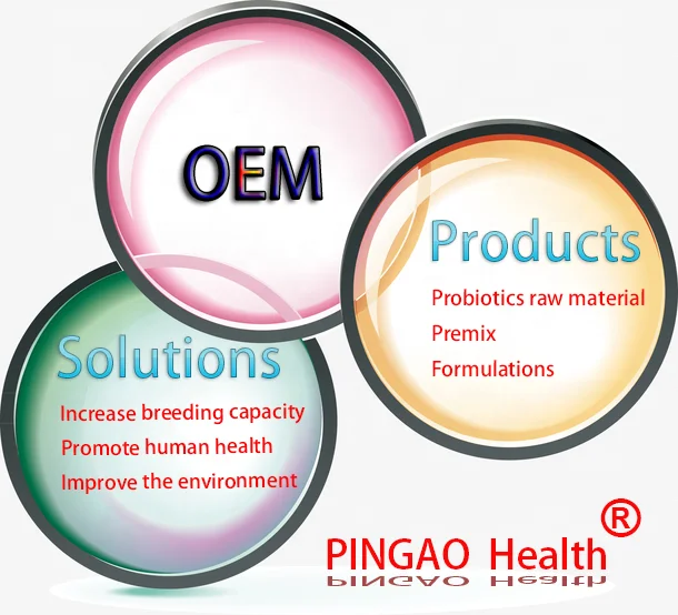 Factory Price Raw Materials HACCP ISO22000 probiotics powder OEM Lactobacillus Salivarius 10Bcfu