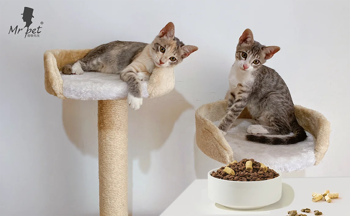 Прямая Продажа с завода 20 кг пакет настоящего мяса сухой корм для кошек из морепродуктов диета пушистых друзей