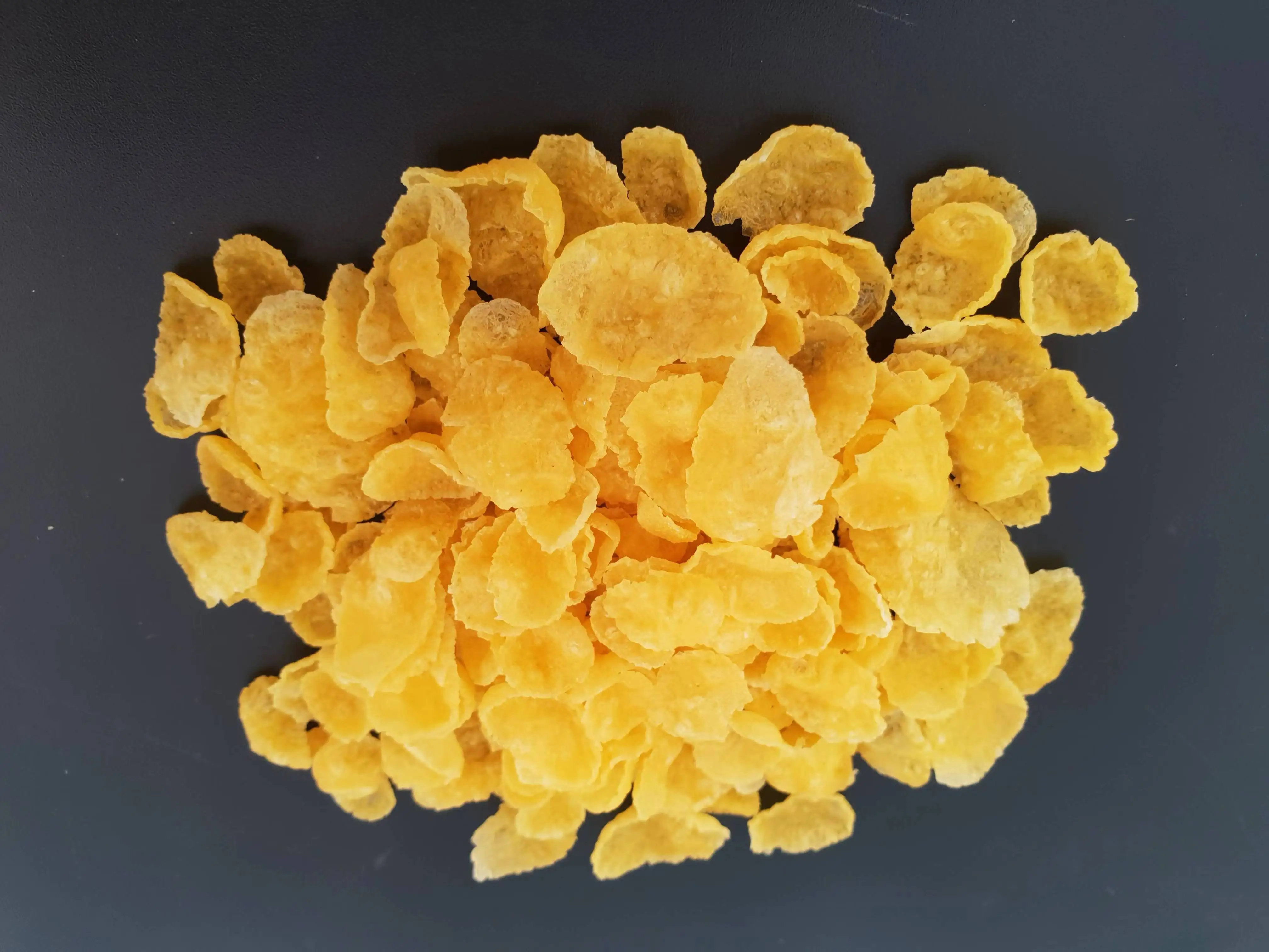 200kg/h twin screw extruder for puffed snacks food production corn flakes machinery price small corn flakes making machine