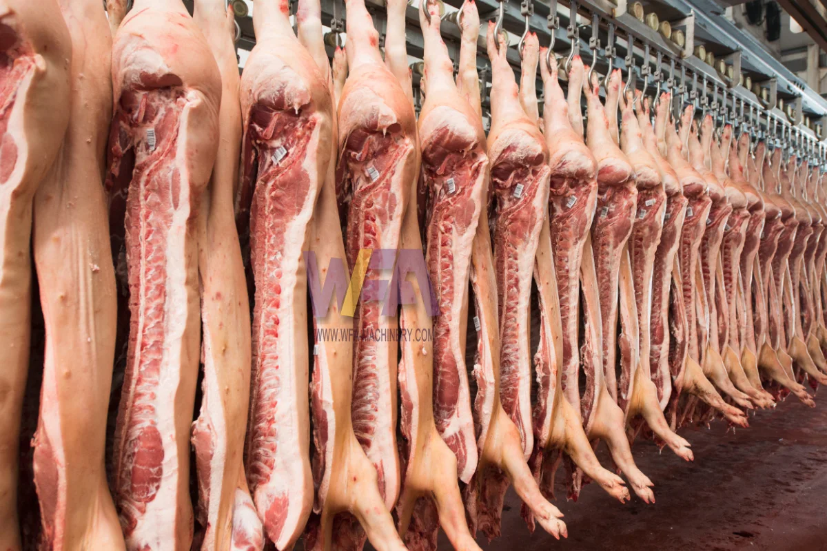 Turnkey Auto Pig Abattoir Machinery Hog Butcher Slaughter House Line With Slaughterhouse Equipment