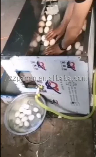 Stainless Steel Best Price Hard Boiled Egg Peeler Egg Shell Peeling Machine Chicken Egg Peeling Machine Price