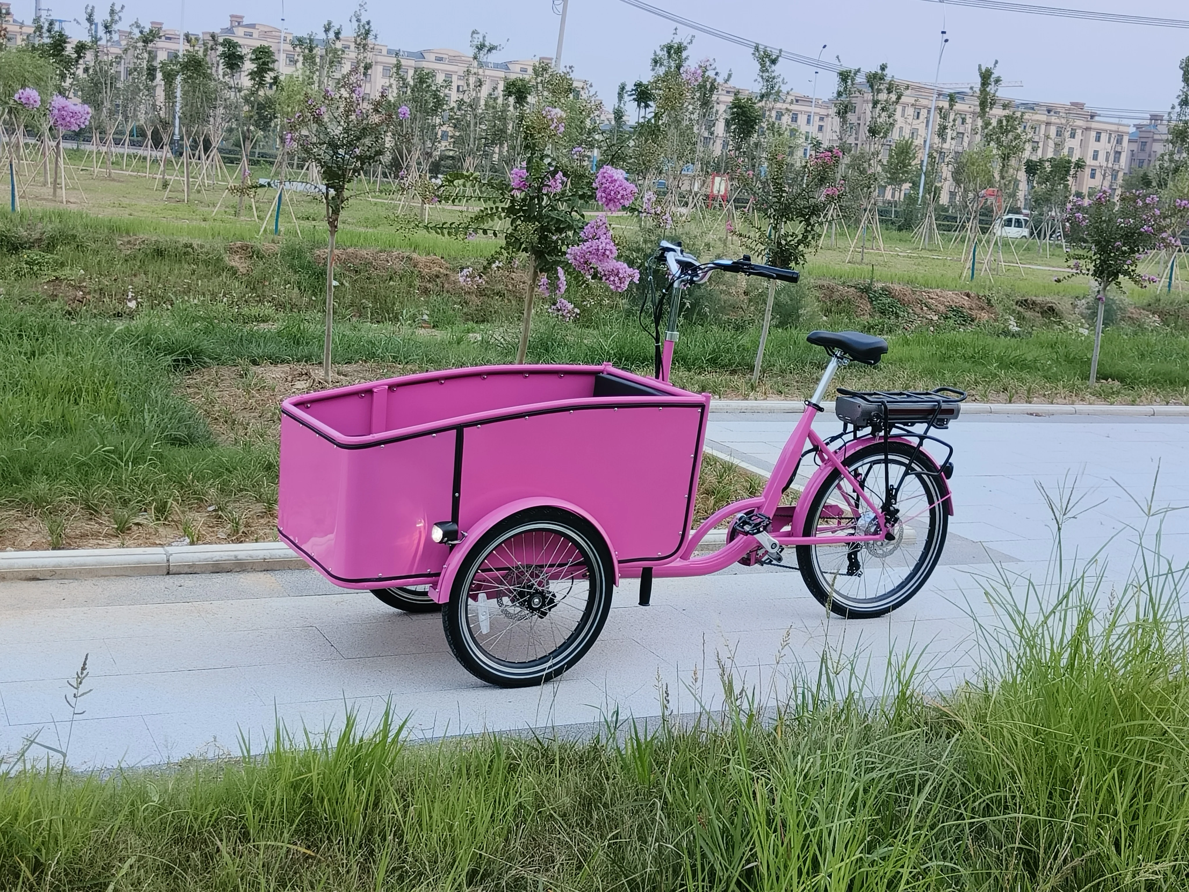 3 Wheel Family Use Cargo Bike Electric  New Style 250W Front Loading Cargo e bike Bicycle