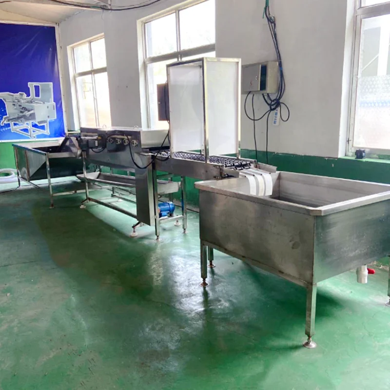 Cheap Egg Incubators for Sale Egg Lifter Transfer Machine Egg Candling Machine for Tunnel Hatcher