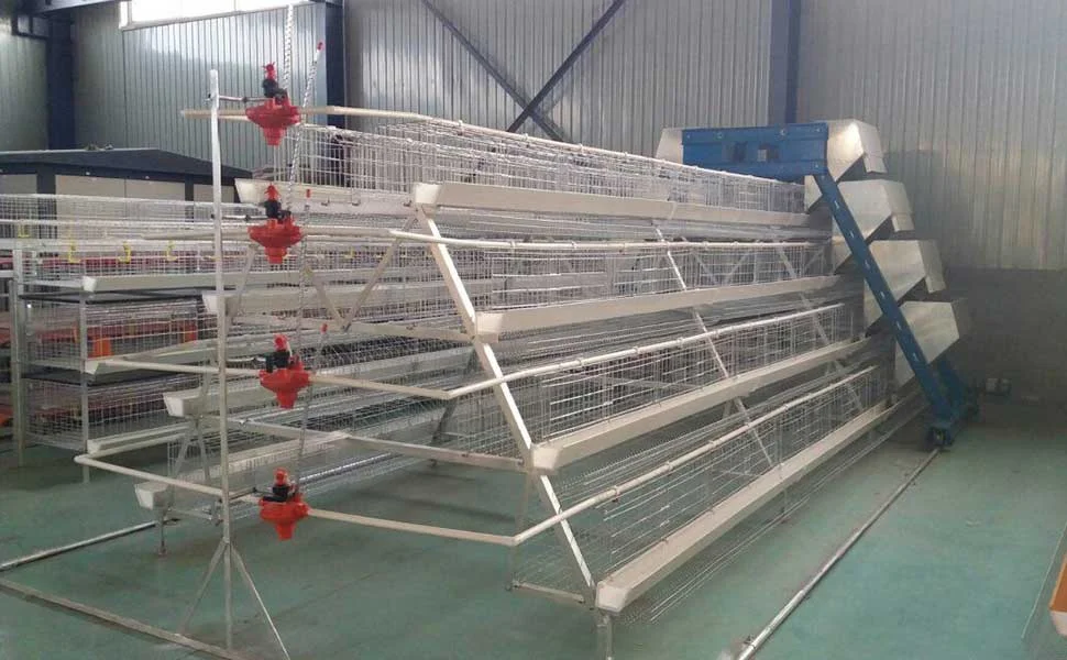 4 Tiers Chicken Egg Layer Battery Cage For Tanzania Poultry Farm