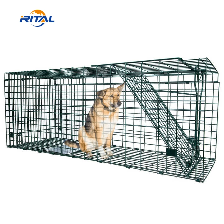 Factory sales metal dog cat cage live catch animal trap cage for pest control