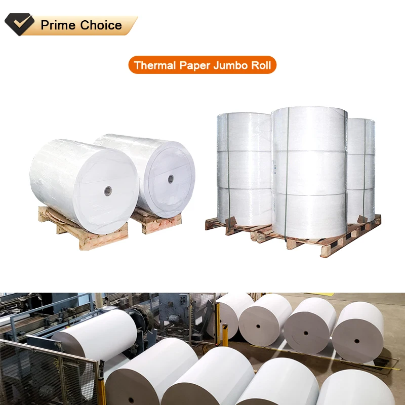 Wholesale Popular Size 3-1/8 x 230 Thermal Receipt Paper Rolls Cash Register Thermal Paper With High Quality