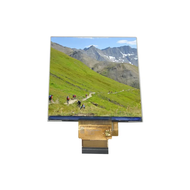 3.95 Inch Square Tft Ips Lcd Display 4 Inch 480*480 Rgb Interface 4.0 Inch Square Lcd