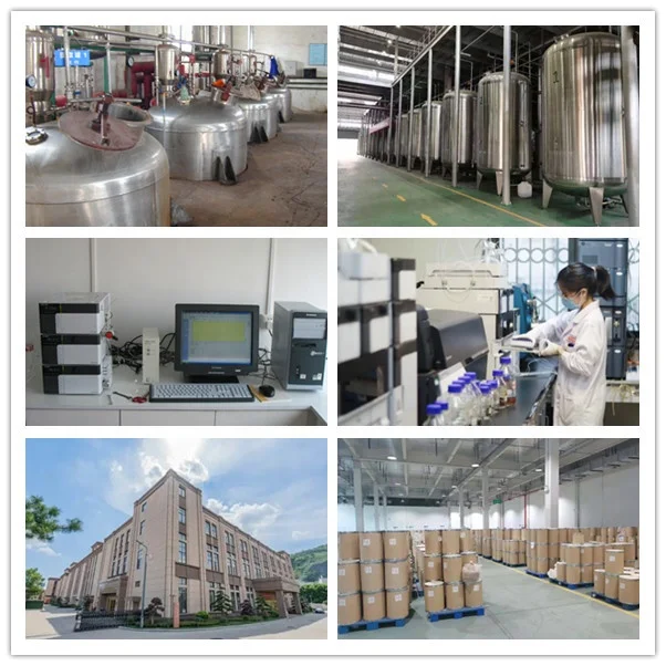 Factory Supply Wholesale Bulk Asian Ginseng Extarct Powder Panax Ginseng Extract Powder