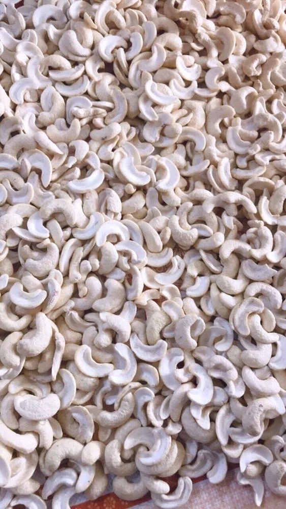
VIETNAM CASHEW NUT ORGANIC BROKEN PIECES 