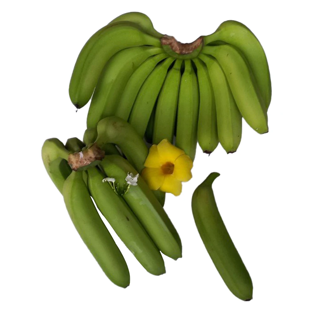 Top Selling Organic Fresh Tropical Fruit Vietnam Grade A456 Cavendish Banana Best Ranking Product OEM ODM Customize Logo