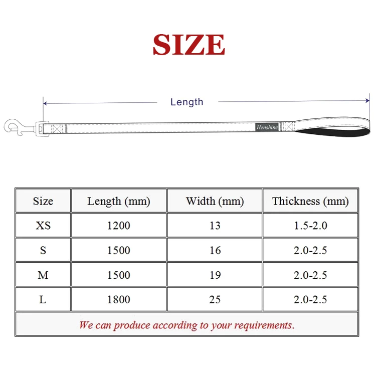 OEM Strong Anti-Slip Grip Dog Leash 3m Training Running Durable Pet Leash with Easy to Use Collar Hook