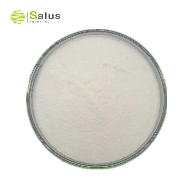 High Quality Hydrolyzed Bovine collagen Peptide Powder