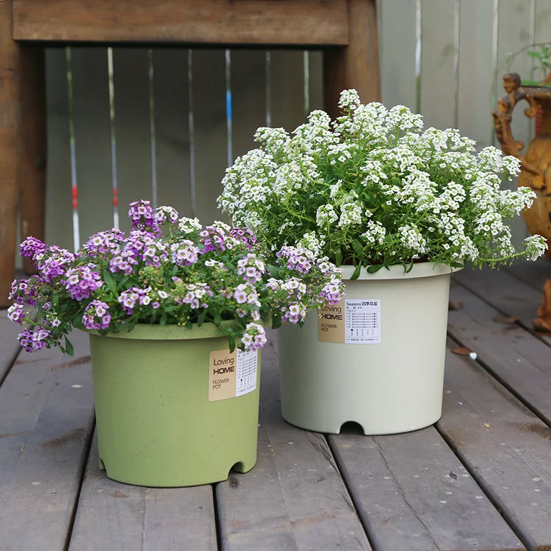 High Quality Wholesale Durable  Colorful Artificial Large Plastic Flower Pots For Home Decoration