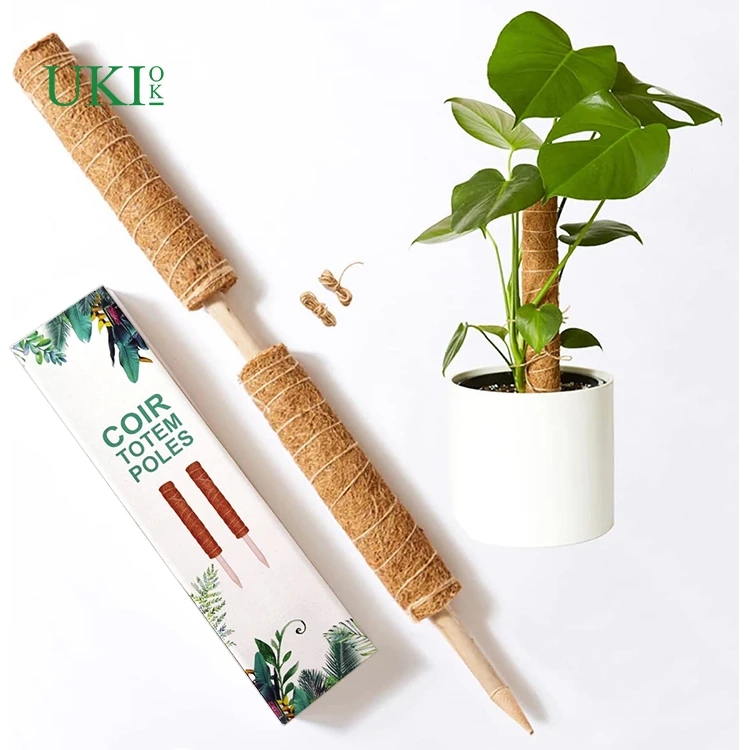 Natural 24 Inch Stakes Totem Forest Sphagnum  Plant Moss Poles for Climbing Plants Support