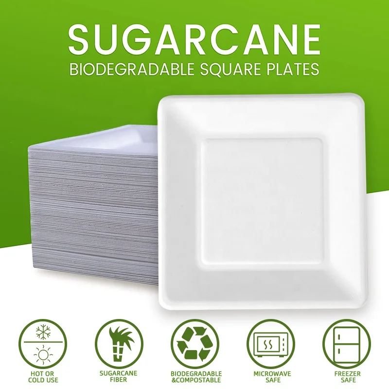 Wholesale Custom Logo Disposable Biodegradable Sugracane Bagasse fiber square diner plate cheap charger plates