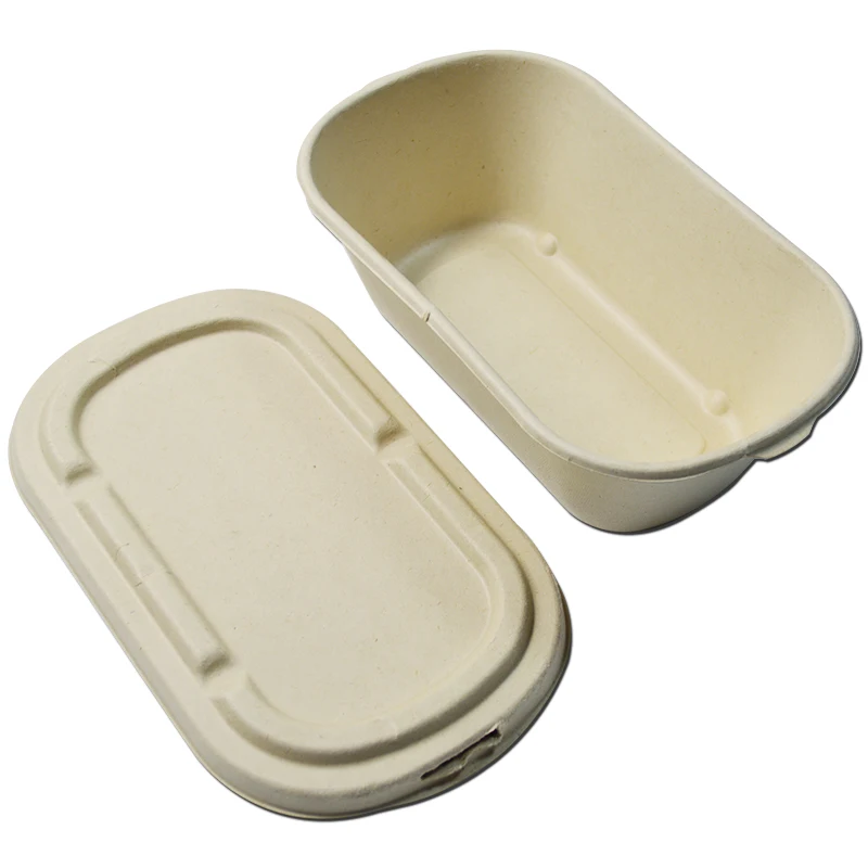 
Biodegradable Container Food Boxes Takeaway Packaging Sugarcane Pulp Paper Tableware With Lid USA 