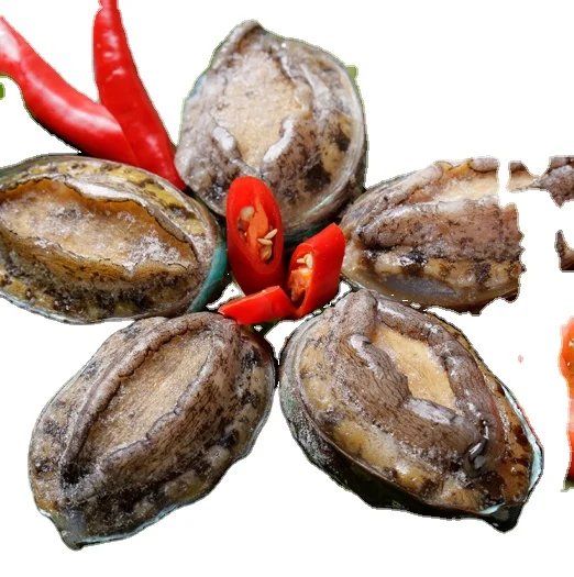 
Abalone Canned Price Abalone Can Food Dry Abalone for Sale 