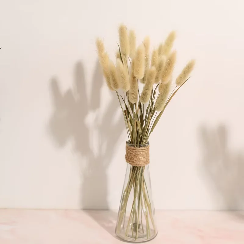 Wholesale Preserved Rabbit Tail Dry Flower Dried Bunny Tails Lagurus Ovatus For Wedding Decoration