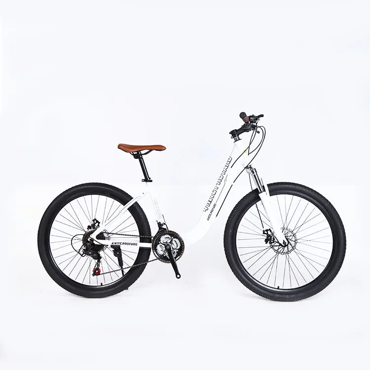 Aluminum Alloy frame mountain bike ladies city bike bicycle women mountain bike
